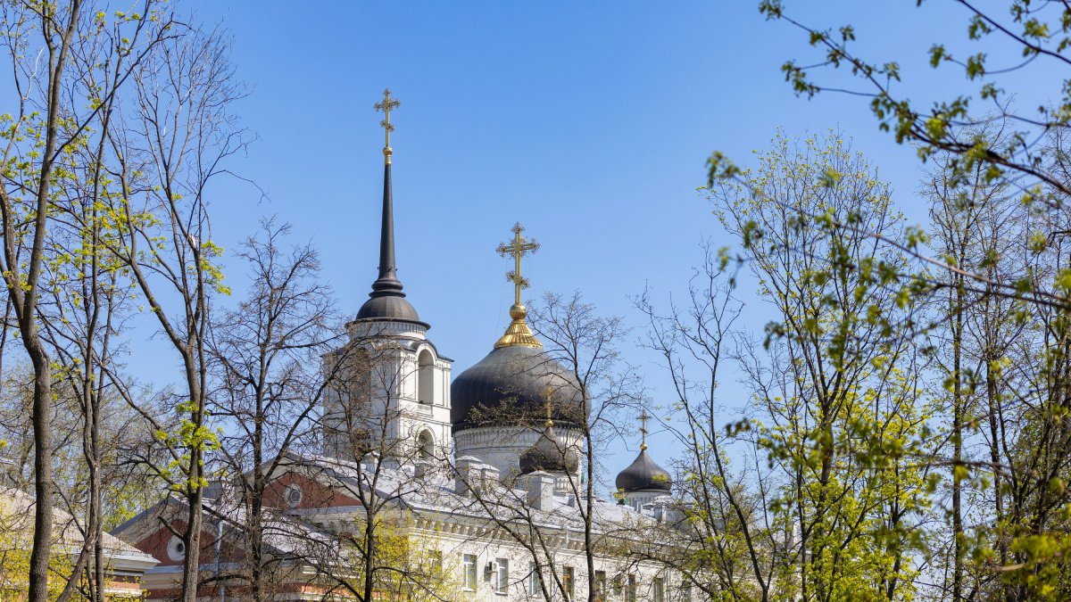 Купола православного храма