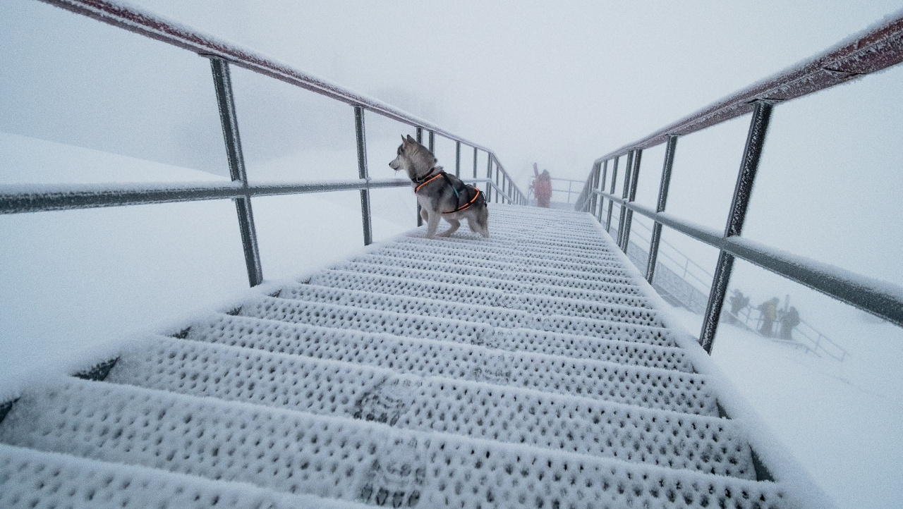 Припорошенная снегом лестница