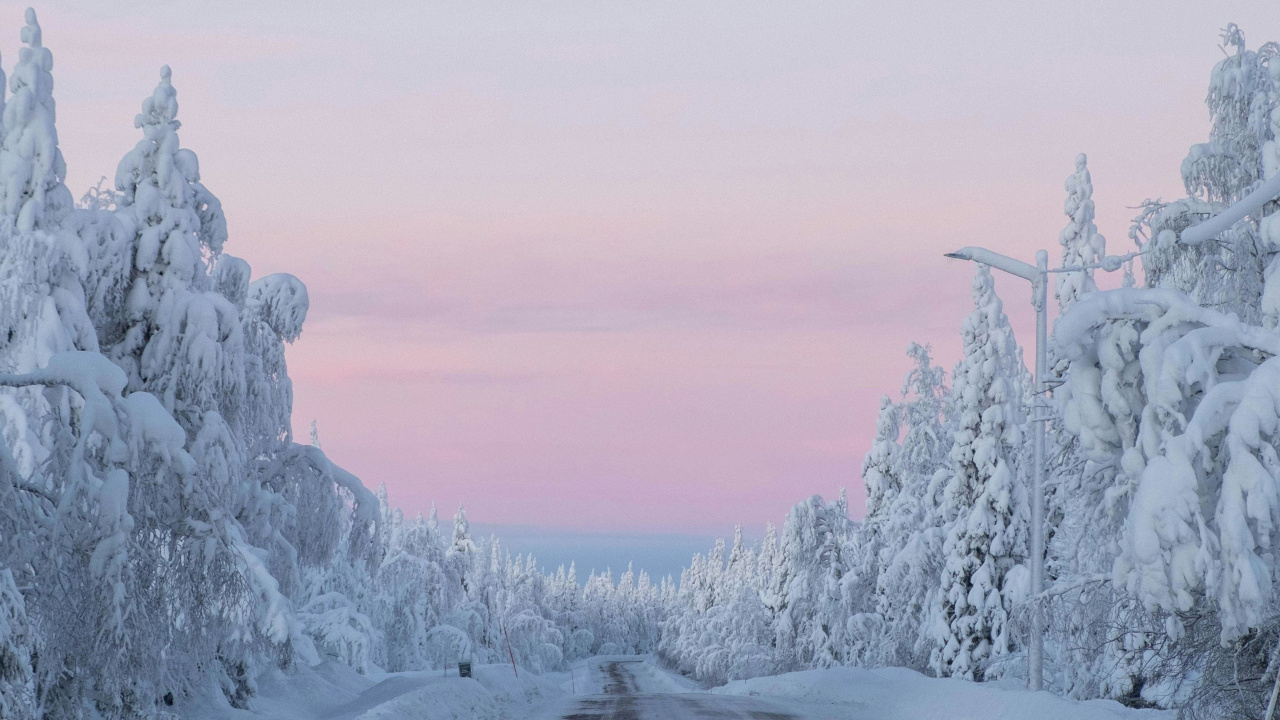 Зимняя дорога