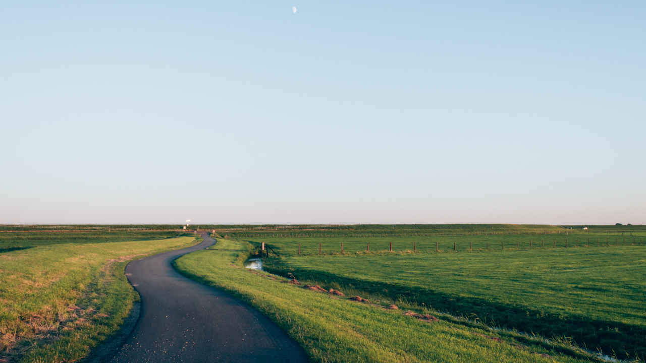 Летняя дорога вдоль поля