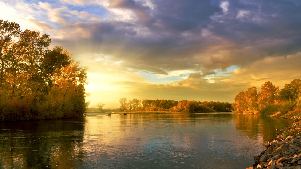 Восходящее солнце над лесным водоёмом