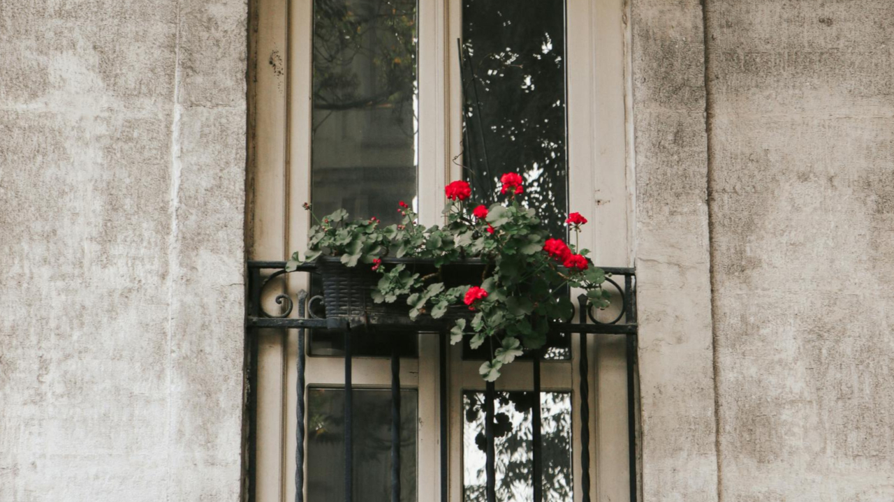 Яркий цветок в горшке на балконе