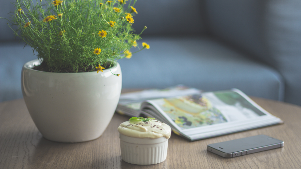 На тумбочке лежит телефон, журнал: а также стоят комнатный цветок и десерт