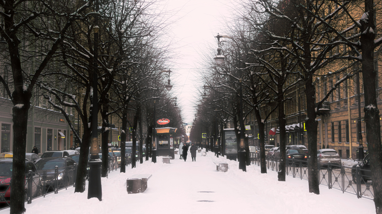 Сквер по середины улицы. Зима
