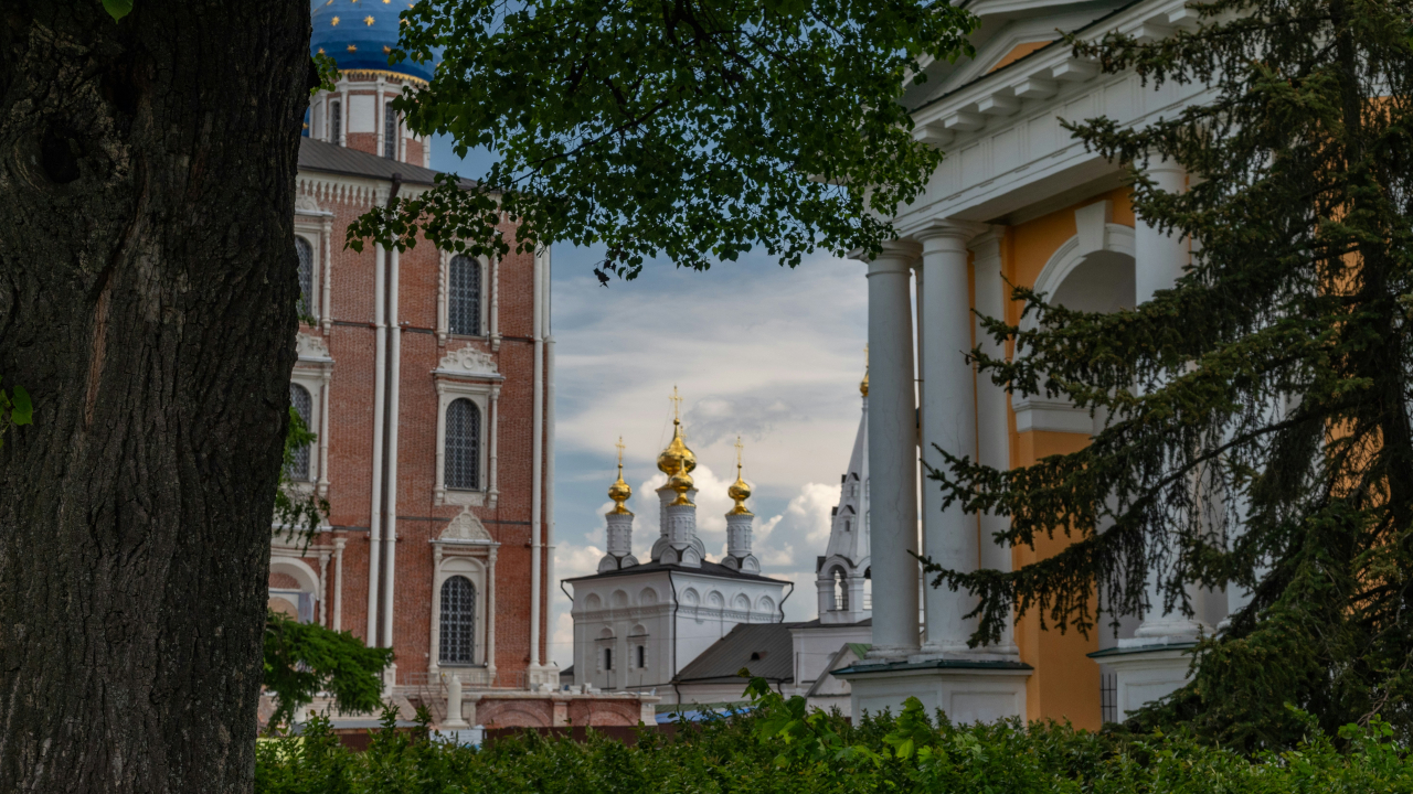 Вид на белую церковь сквозь деревья