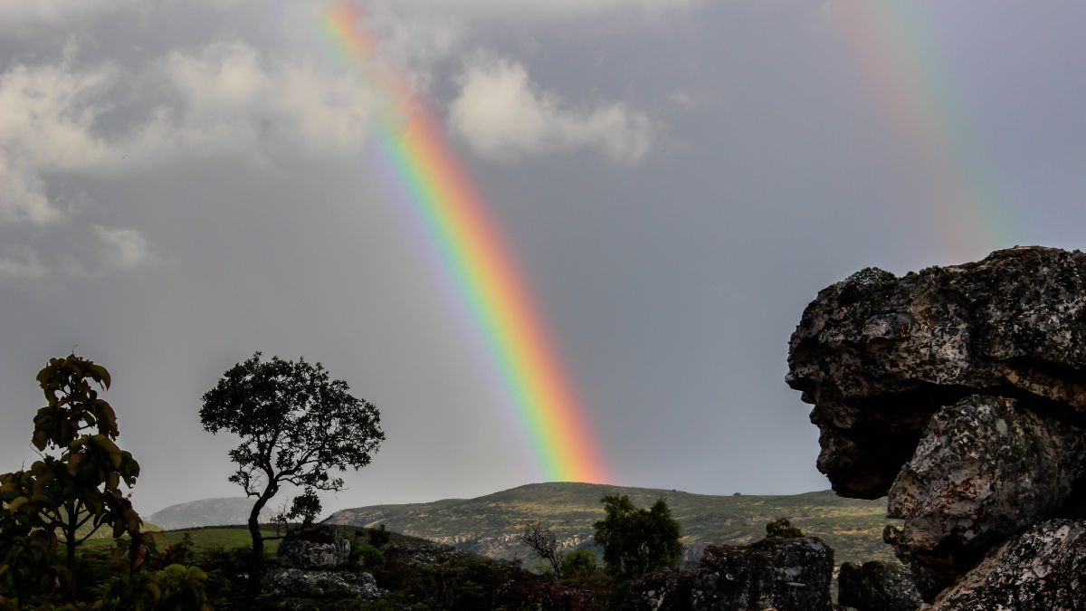 Радуга над лугом