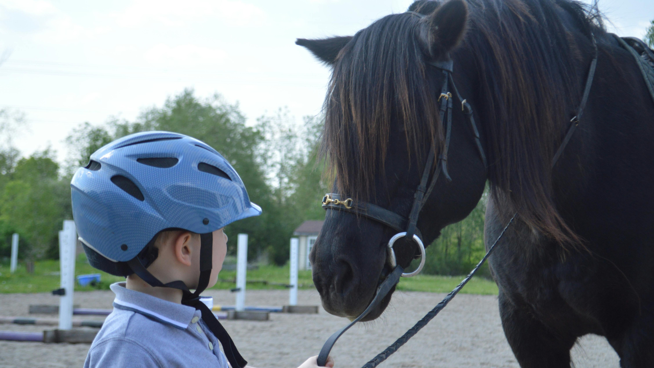 Мальчик и лошадь