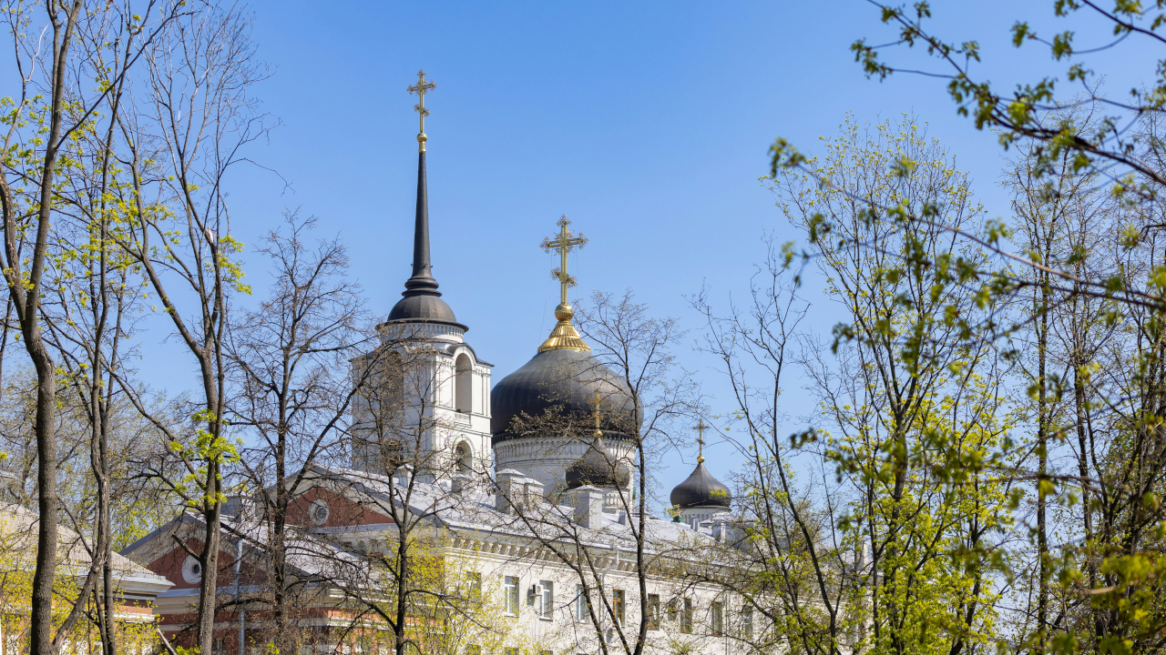 Купола собора виднеются скозь весенние деревья