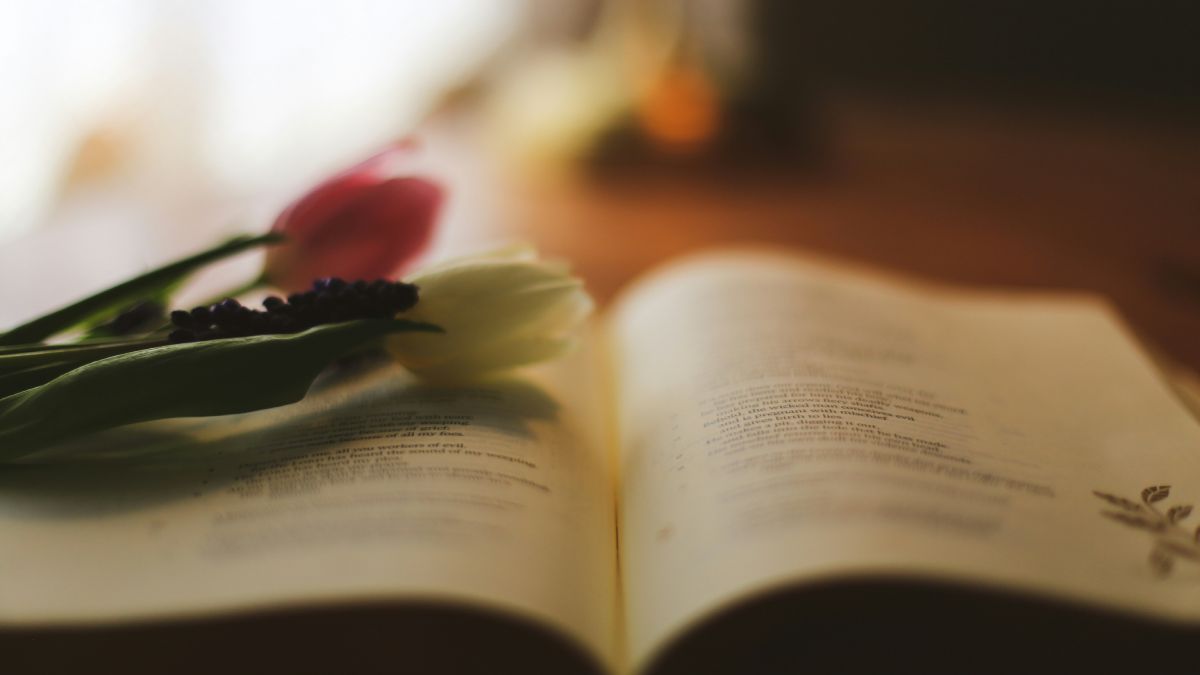 Цветы на открытой книге